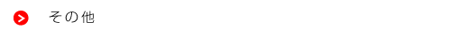 ���̑�
